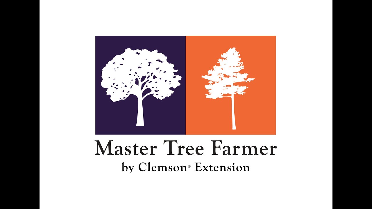 Master Tree Farmer educational video series for forest landowners