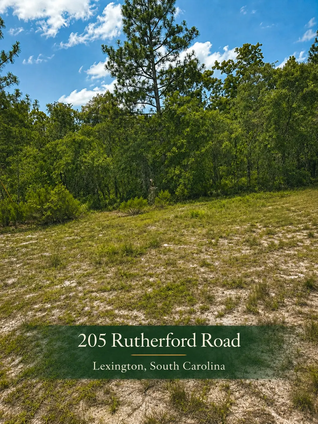 205 Rutherford Road property in Lexington, South Carolina